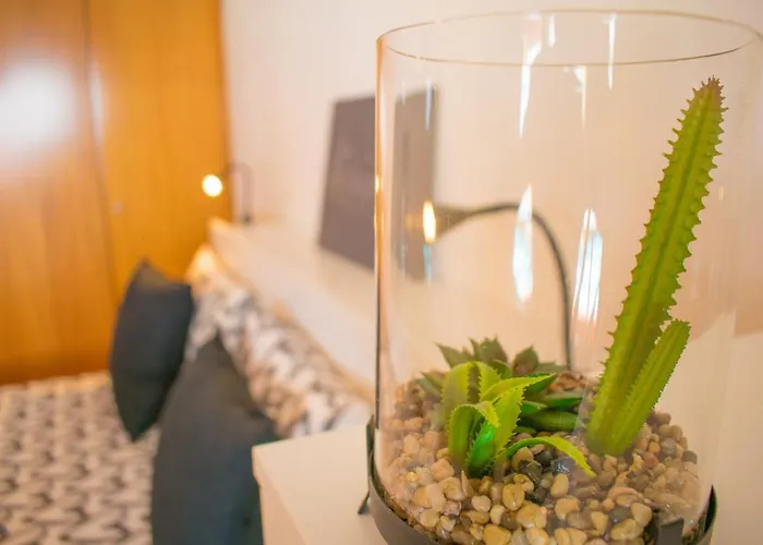 Duplex Paraiso Dream - Tenesol Апартаменты